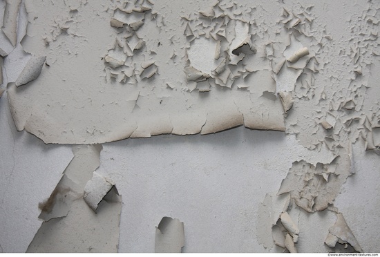 Wall Plaster Paint Peeling