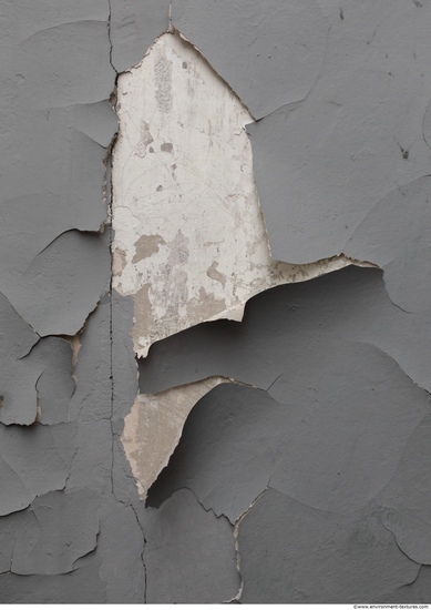 Wall Plaster Paint Peeling