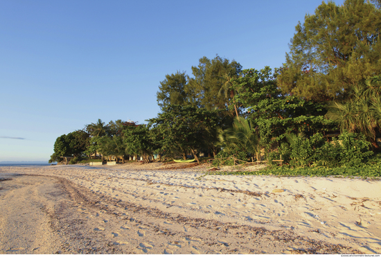 Background Beach