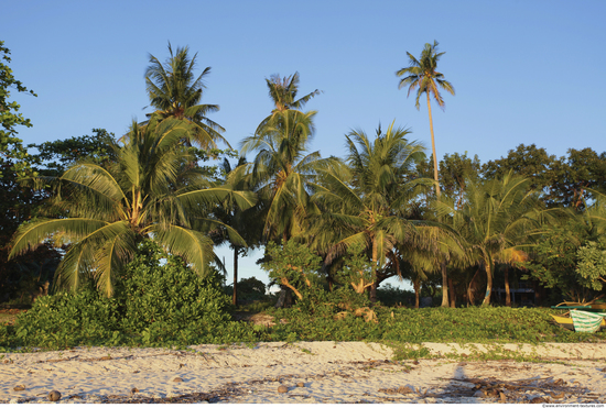 Background Beach