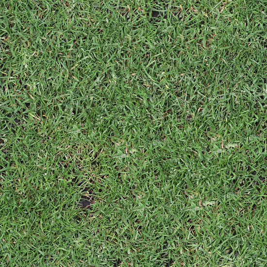 Seamless Grass