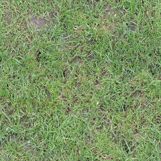 Seamless Grass