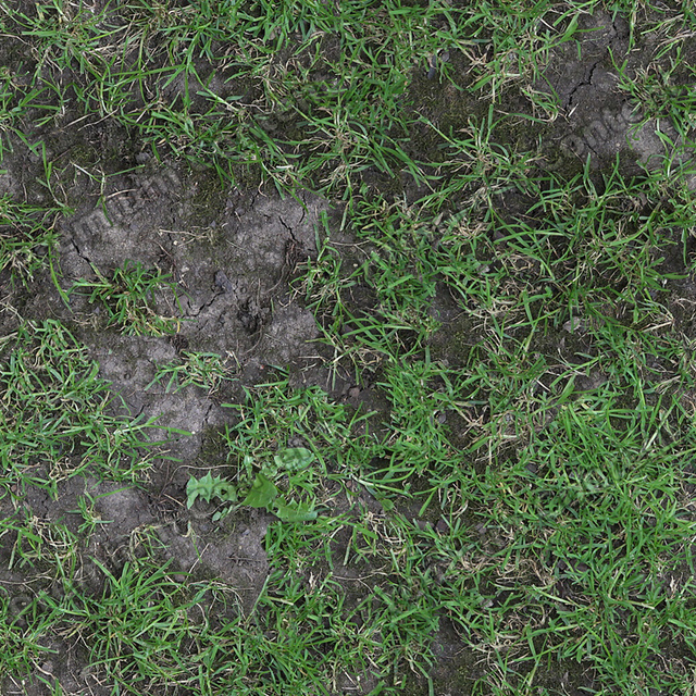 Seamless Grass