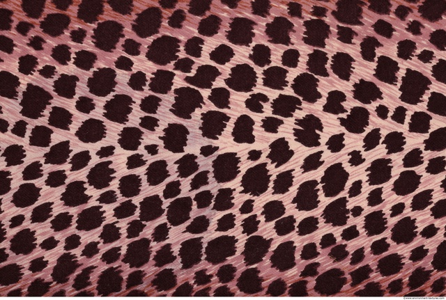 Patterned Fabric