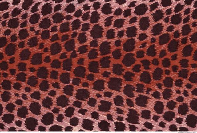 Patterned Fabric