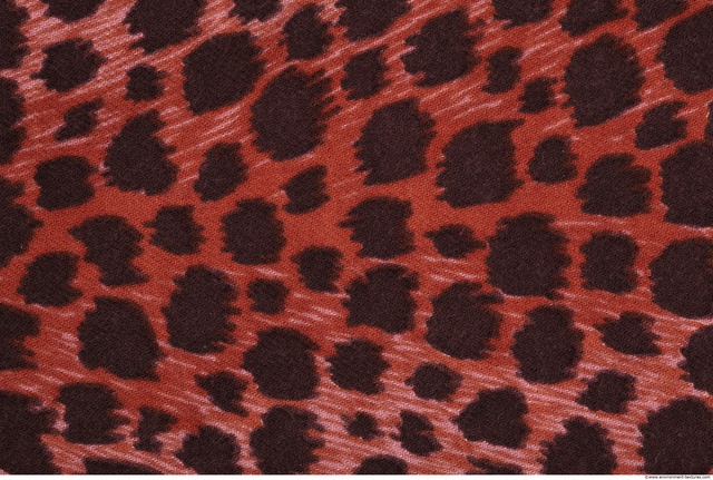 Patterned Fabric