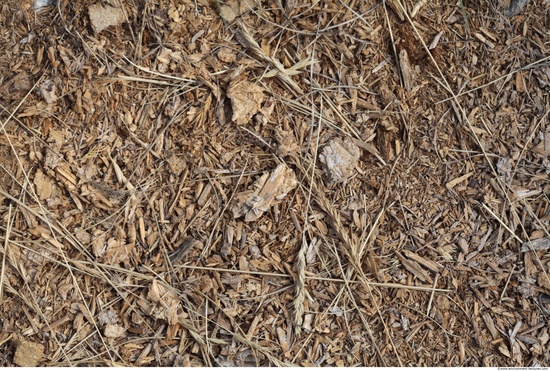 Wood Chips