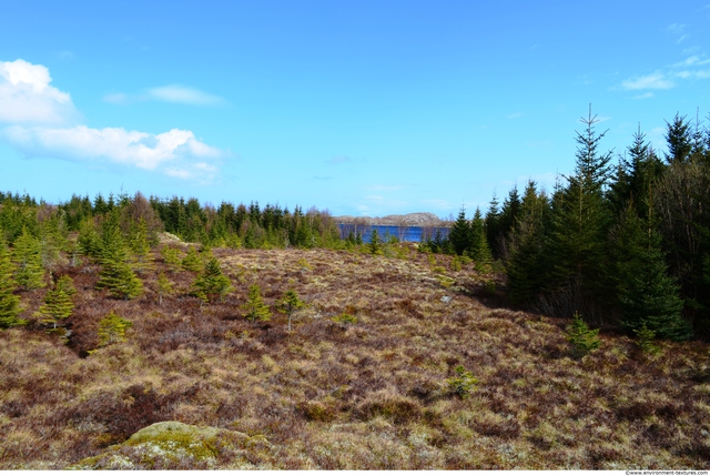 Background Forests