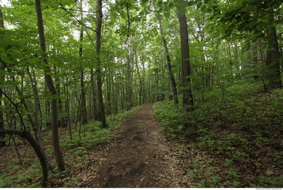 Background Forests