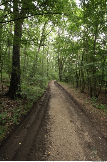 Background Forests