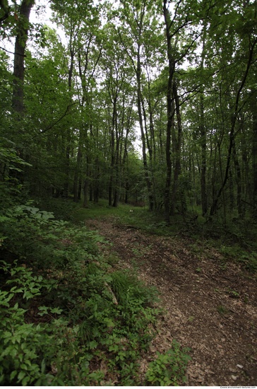 Background Forests