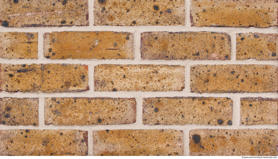 Wall Bricks Modern