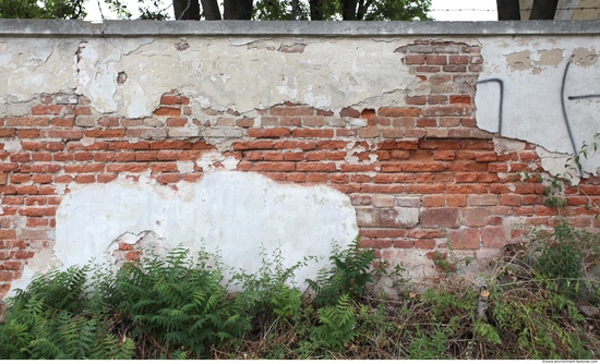 Wall Bricks Plastered