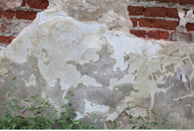 Walls Plaster Damaged