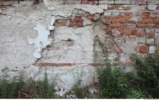 Walls Plaster Damaged