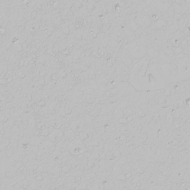 High Resolution Seamless Foam Texture