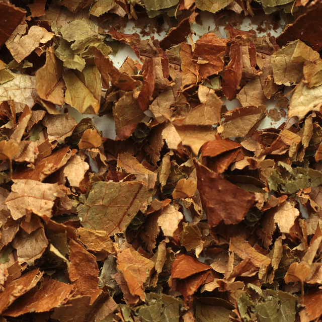 High Resolution Seamless Leaves Texture