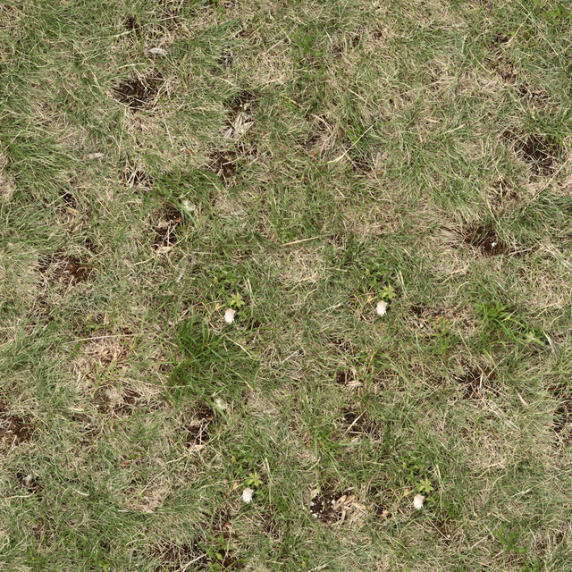 High Resolution Seamless Grass Texture