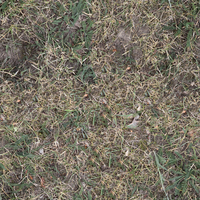 High Resolution Seamless Grass Texture