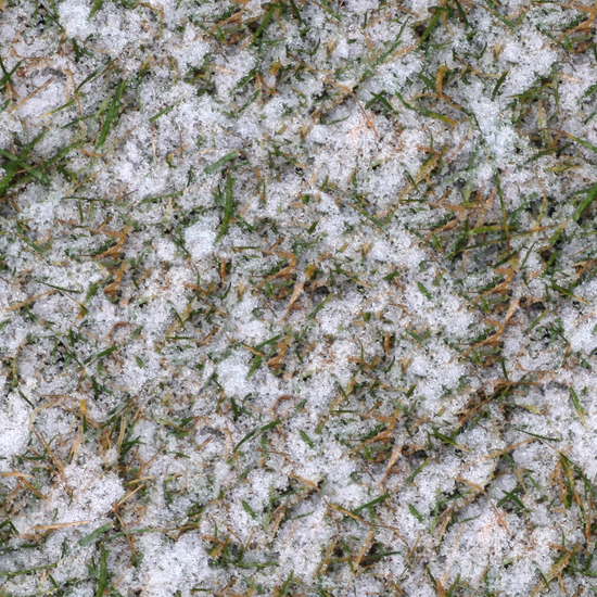 Seamless Grass Frozen