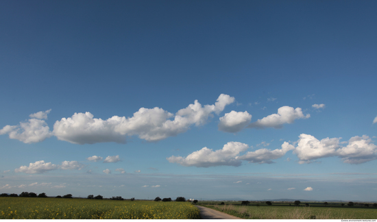 Blue Clear Skies