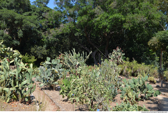 Background Gardens