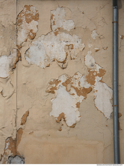 Wall Plaster Paint Peeling