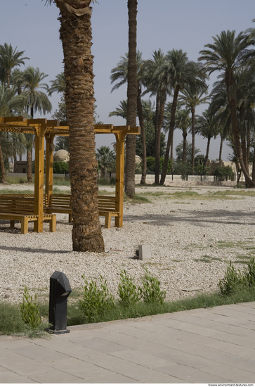 Egypt Dendera Landspace