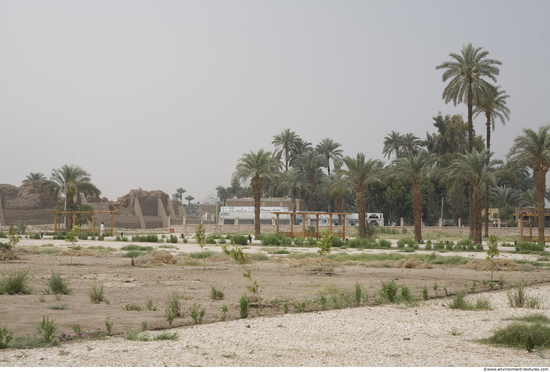 Egypt Dendera Landspace