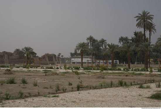 Egypt Dendera Landspace