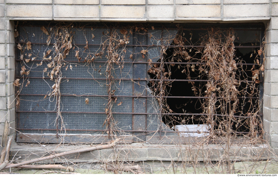 Barred Windows