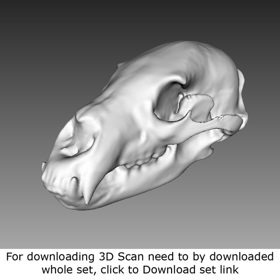 Mixed 3D Scan