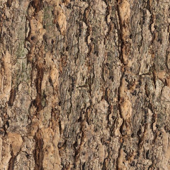 Seamless Tree Bark