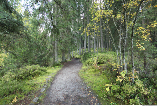 Background Forests