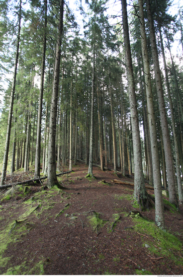 Background Forests