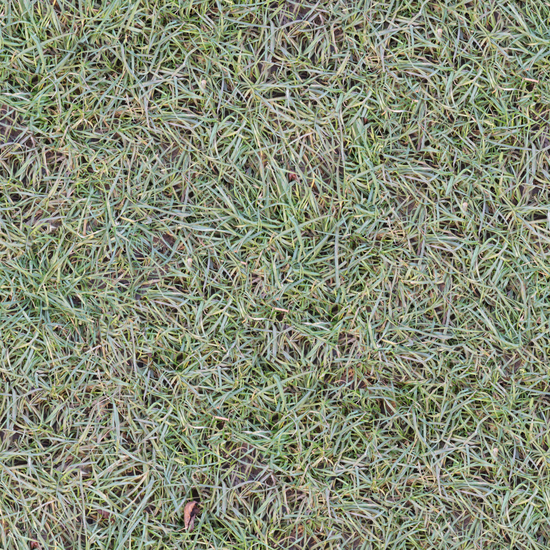 Seamless Grass