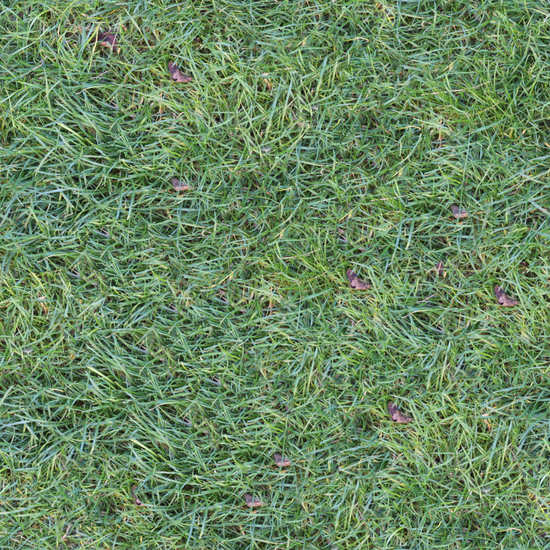 Seamless Grass