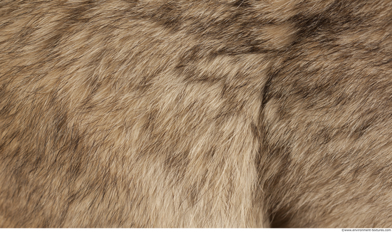 Fur