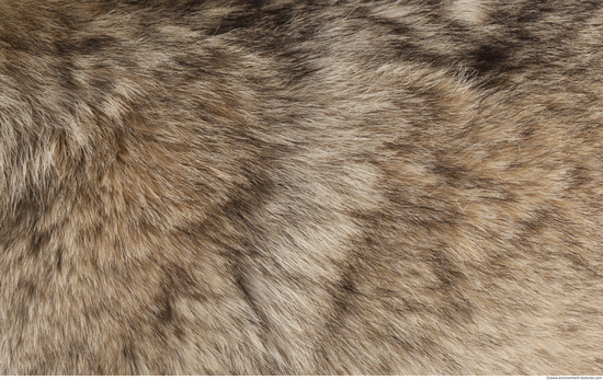 Fur