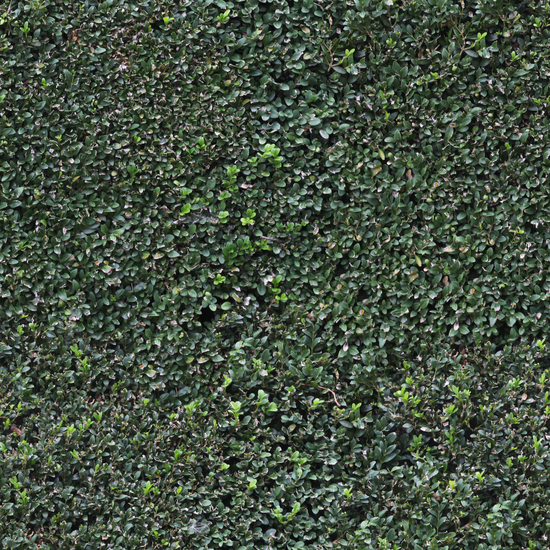 Seamless Hedge