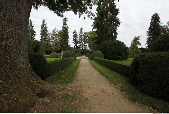 Background Gardens