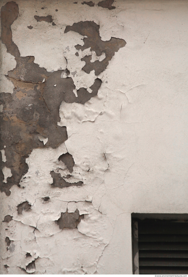 Wall Plaster Paint Peeling