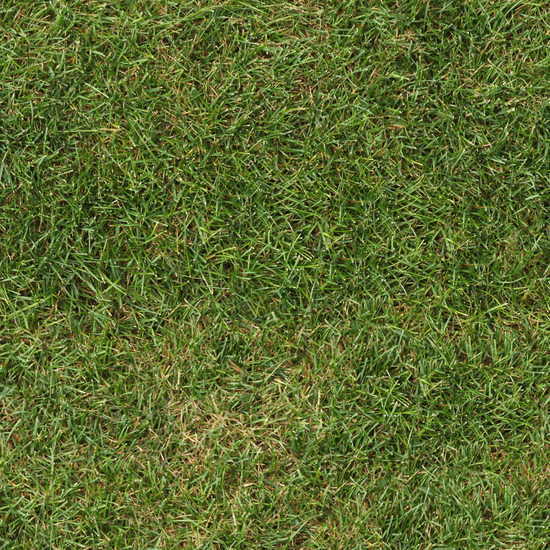 Seamless Grass