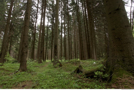 Background Forests