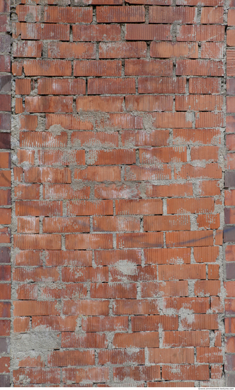 Wall Bricks Plastered