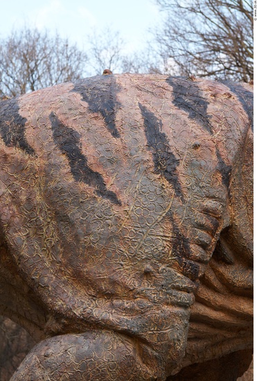 Dinosaur Skin