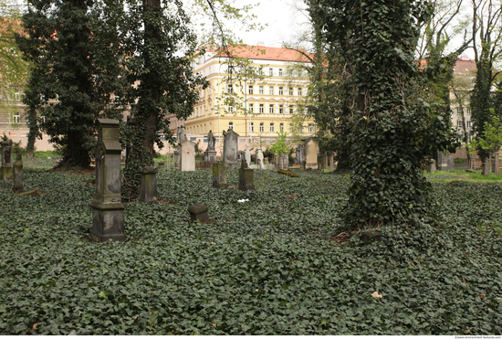 Background Gardens