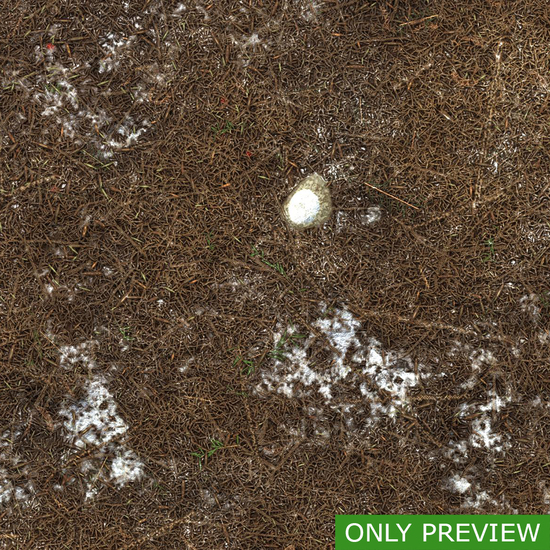 PBR substance material of forest ground snowy created in substance designer for graphic designers and game developers