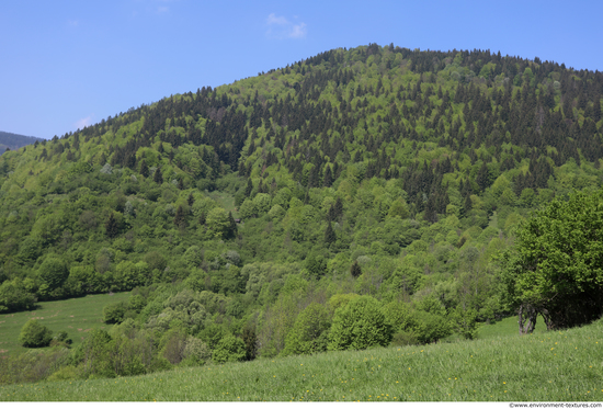 Background Forests