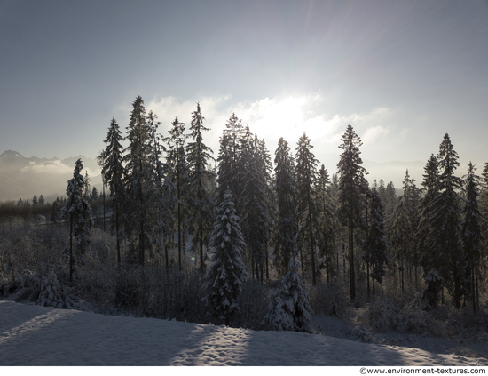 Background Forests